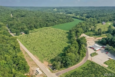 14560 Dry Fork Rd, Festus, MO 63028 - photo 6