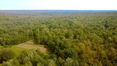 247125 Nehrbass Rd, Athens, WI 54411 - photo 3