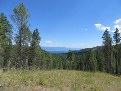 Camp-Vic 001