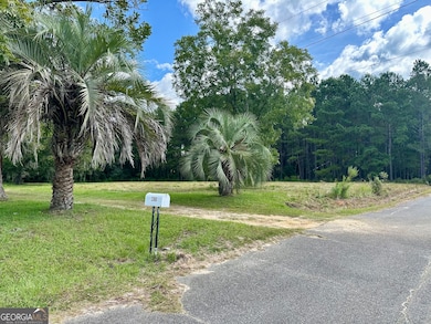 3360 Strickland Avenue Extension, Blackshear, GA 31516 - photo 6