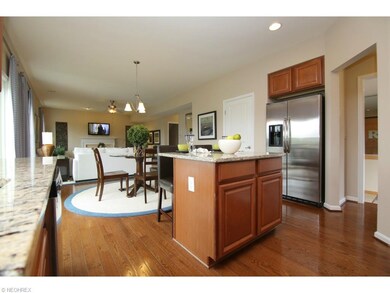 876 Hilliary Ln, Aurora, OH 44202 - photo 7