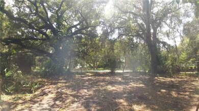 Huge front yard - paved road - county water - natu