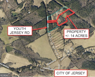 +/- 14 ACRES Youth Jersey Rd, Covington, GA 30014 - photo 3