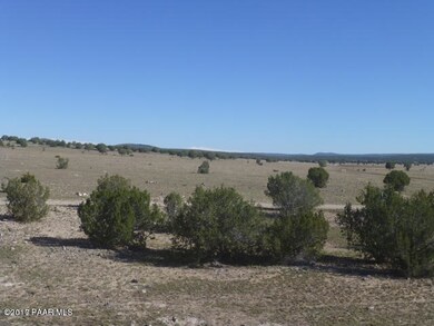 79c N Railroad Bed, Ash Fork, AZ 86320 - photo 6