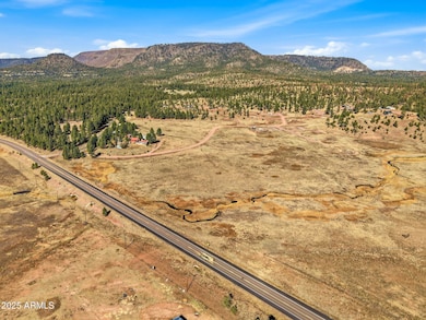 Lot 35 the Ranch at Alpine -- unit 35, Alpine, AZ 85920 - photo 7