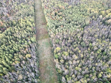 TBD U S Highway 71, Big Falls, MN 56658 - photo 2