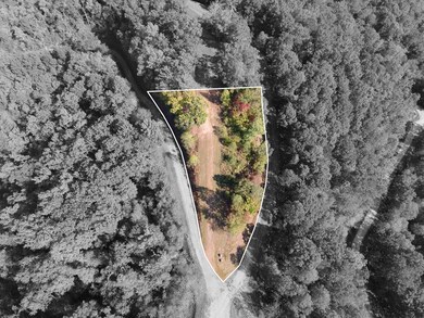Lot 64 Lyle Mountain Trail, Franklin, NC 28734 - photo 5