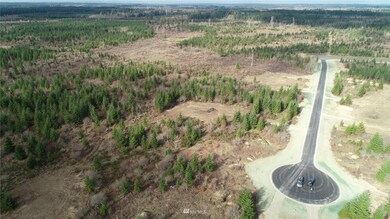 15814 Boise Ln SE, Yelm, WA 98597 - photo 6