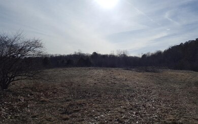 0 N Felch Ave unit 21003119, Sherman Township - Newaygo, MI 49349 - photo 5