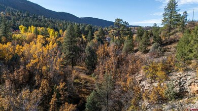 9 Elkridge Ln, Durango, CO 81301 - photo 7