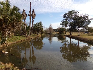 14714 Guy Rd, Waller, TX 77484 - photo 4