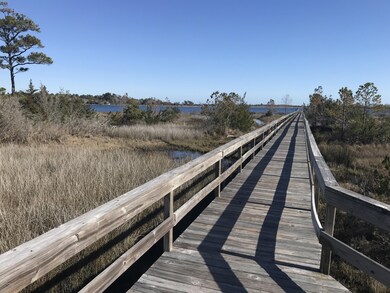 196 Royal Palms Way, Holly Ridge, NC 28445 - photo 4