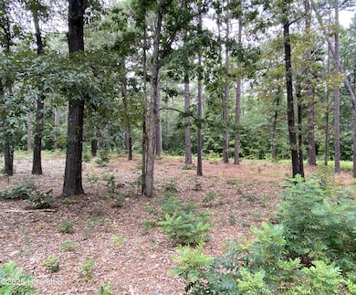 231 Meyer Farm Dr, Pinehurst, NC 28374 - photo 5