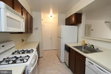 1039 Michigan Ave NE unit 1039, Washington, DC 20017 - photo 4