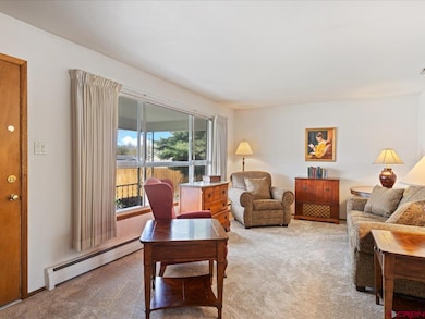 640 E 3rd St, Delta, CO 81416 - photo 5