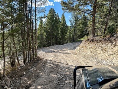 TBD (5.37+/- acres) Gold Coin Ln, Anaconda, MT 59711 - photo 6