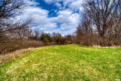 7400 W Plank Rd, Peoria, IL 61604 - photo 4