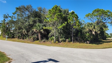 12062 Coleman Ave, Port Charlotte, FL 33981 - photo 2