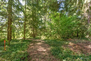 110 Rawlins Rd, Toledo, WA 98591 - photo 4