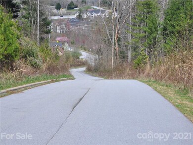 36.35 ACRES Half Moon Trail, Hendersonville, NC 28792 - photo 2