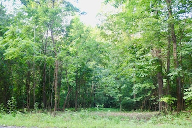 TBD Big Hill Ln, Mount Solon, VA 22843 - photo 3