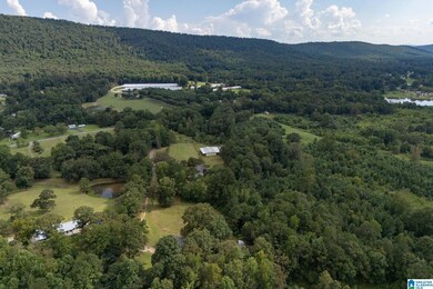 4255 Kelly Creek Rd, Odenville, AL 35120 - photo 3