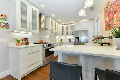 9 Porter St unit 2, Jamaica Plain, MA 02130 - photo 4