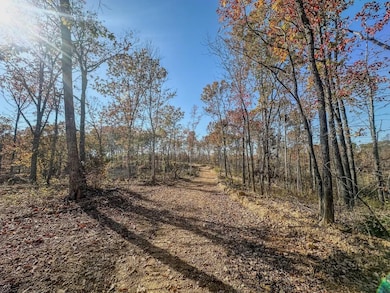 0 Firetower Rd unit 5, Centerville, TN 37033 - photo 7