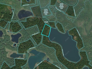 000 Asls 72-064 9 91 Acres, Skwentna, AK 99667 - photo 5