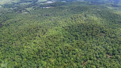 40 Bruce Mitchell Rd, Ravenden Spring, AR 72460 - photo 7