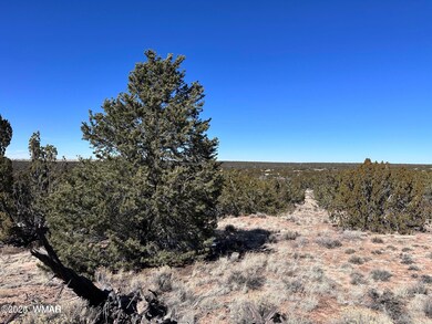 004B N7411, St. Johns, AZ 85936 - photo 3