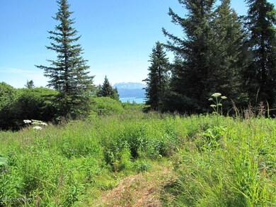 meadows and view