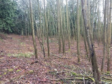 0 267th St NW unit 1088160, Stanwood, WA 98292 - photo 2