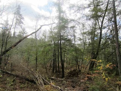 0 E Town Farm Rd unit 4606722, Putney, VT 05346 - photo 6