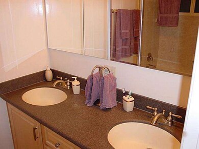dual sinks and jacuzzi tub in master bathroom.