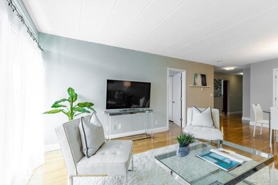 345 Harvard St unit 3C, Cambridge, MA 02138 - photo 6