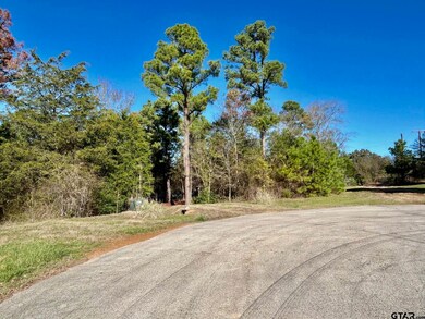 5395 Grand View Dr, Athens, TX 75752 - photo 7