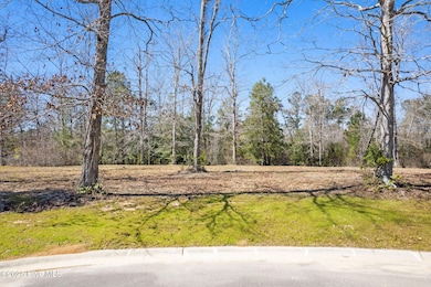 637 Squirrel Run SW, Supply, NC 28462 - photo 3