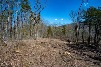 0 Wolfenbarger Tract 1 unit 1294792, Luttrell, TN 37779 - photo 4