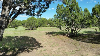 1639 Silver Lake Blvd, White Mountain Lake, AZ 85912 - photo 3