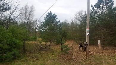 TBD County Line Rd, Plymouth, IN 46563 - photo 5