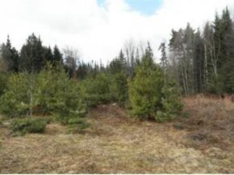 76 Hubberton Rd, Lyman, NH 03585 - photo 3