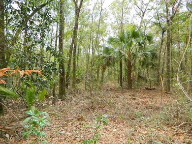 0 Noles Ln unit 302968, Crawfordville, FL 32327 - photo 6