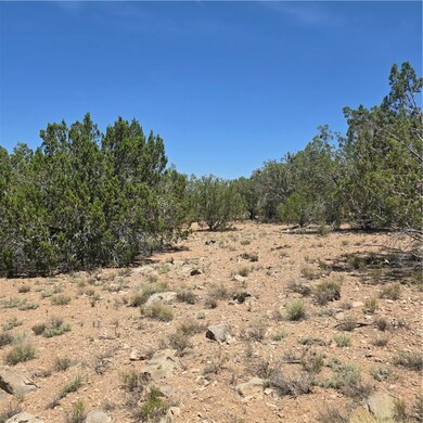 32220 W Conejo Rd, Seligman, AZ 86337 - photo 7