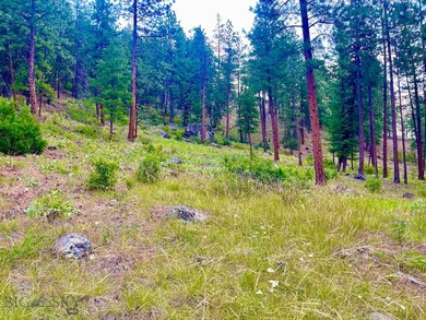 NHN Tract 3 Railroad Ave, Alberton, MT 59820 - photo 4