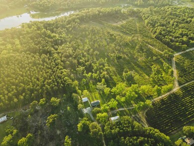 2643 Highway 188, Ochlocknee, GA 31773 - photo 5