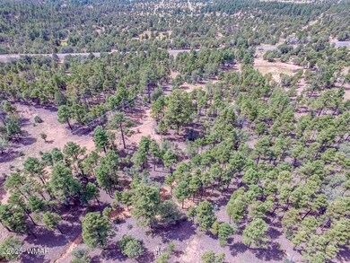 DJI_0015[1]