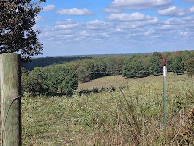 3013-3015 Possum Trot Rd, Ash Flat, AR 72513 - photo 4