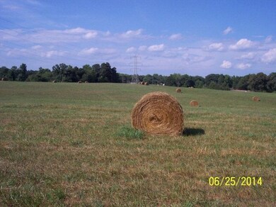 0 Wilkinsville Hwy, Gaffney, SC 29340 - photo 5