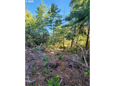 0 Windleaf Way unit TL4100 313727279, Florence, OR 97439 - photo 3